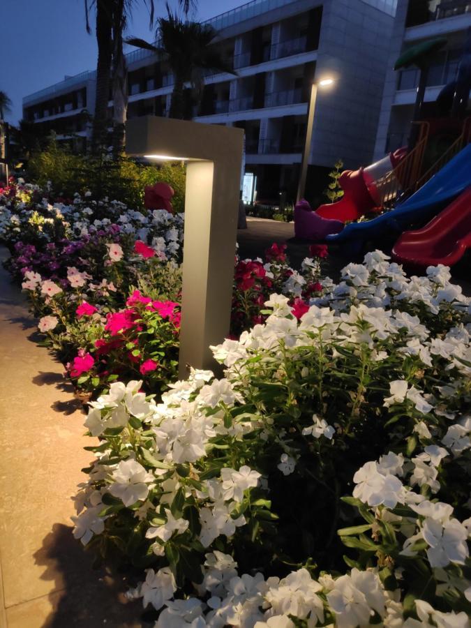 Relax&Dream Apartment Long Beach Agios Georgios  المظهر الخارجي الصورة